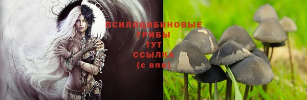 ALPHA PVP Армянск