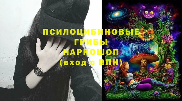 мескалин Арсеньев