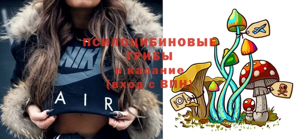 мескалин Арсеньев