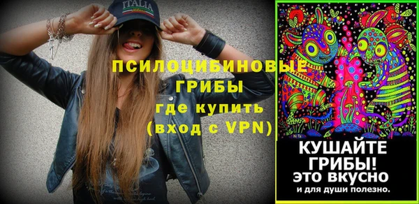 ALPHA PVP Армянск